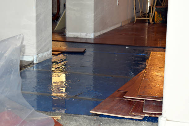 Professional Basement Flood Cleanup technician working in Bolivar, WV